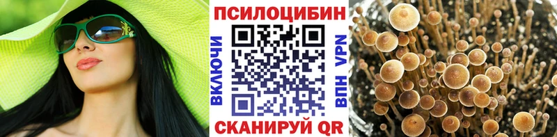 Псилоцибиновые грибы Psilocybine cubensis  где купить наркотик  Бабушкин 